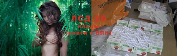 спиды Бронницы
