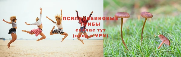 гашиш Бородино
